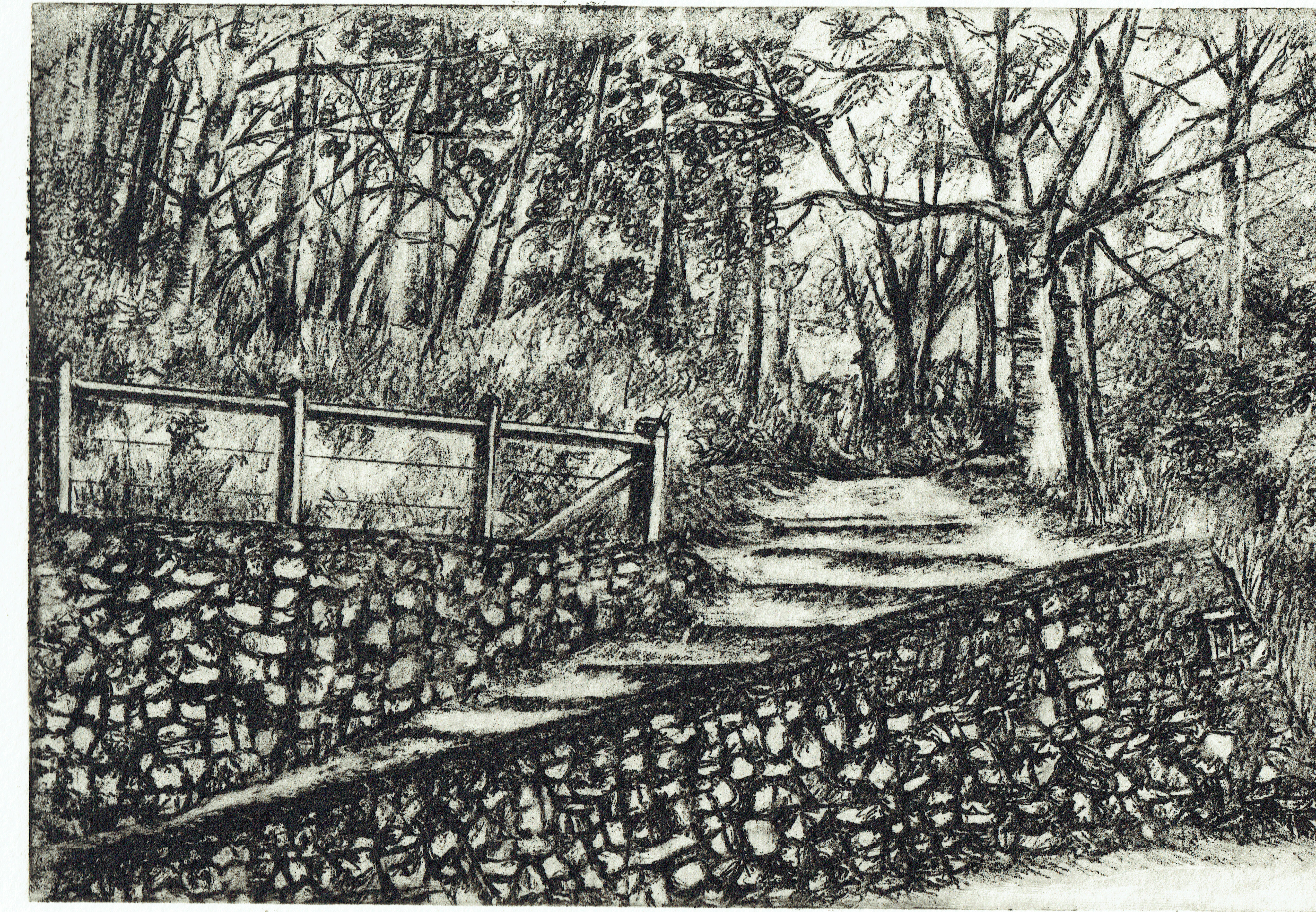 Julie Bignell Walking Trail-IntaglioOnPaper-33x26cm