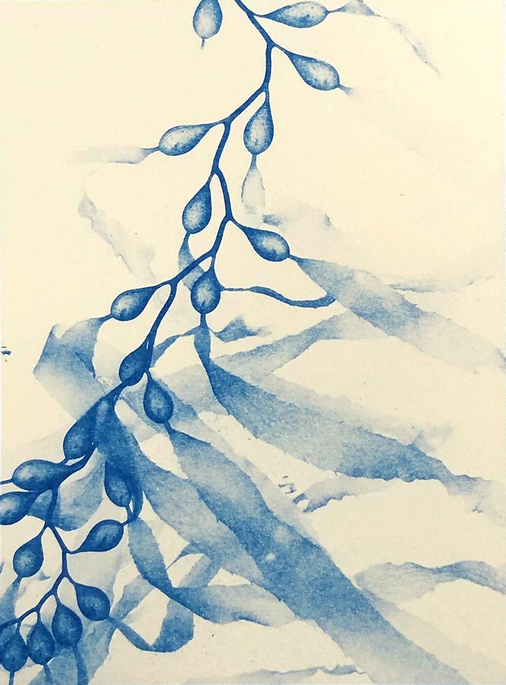 Sue Shaw-Drifting-Cyanotype