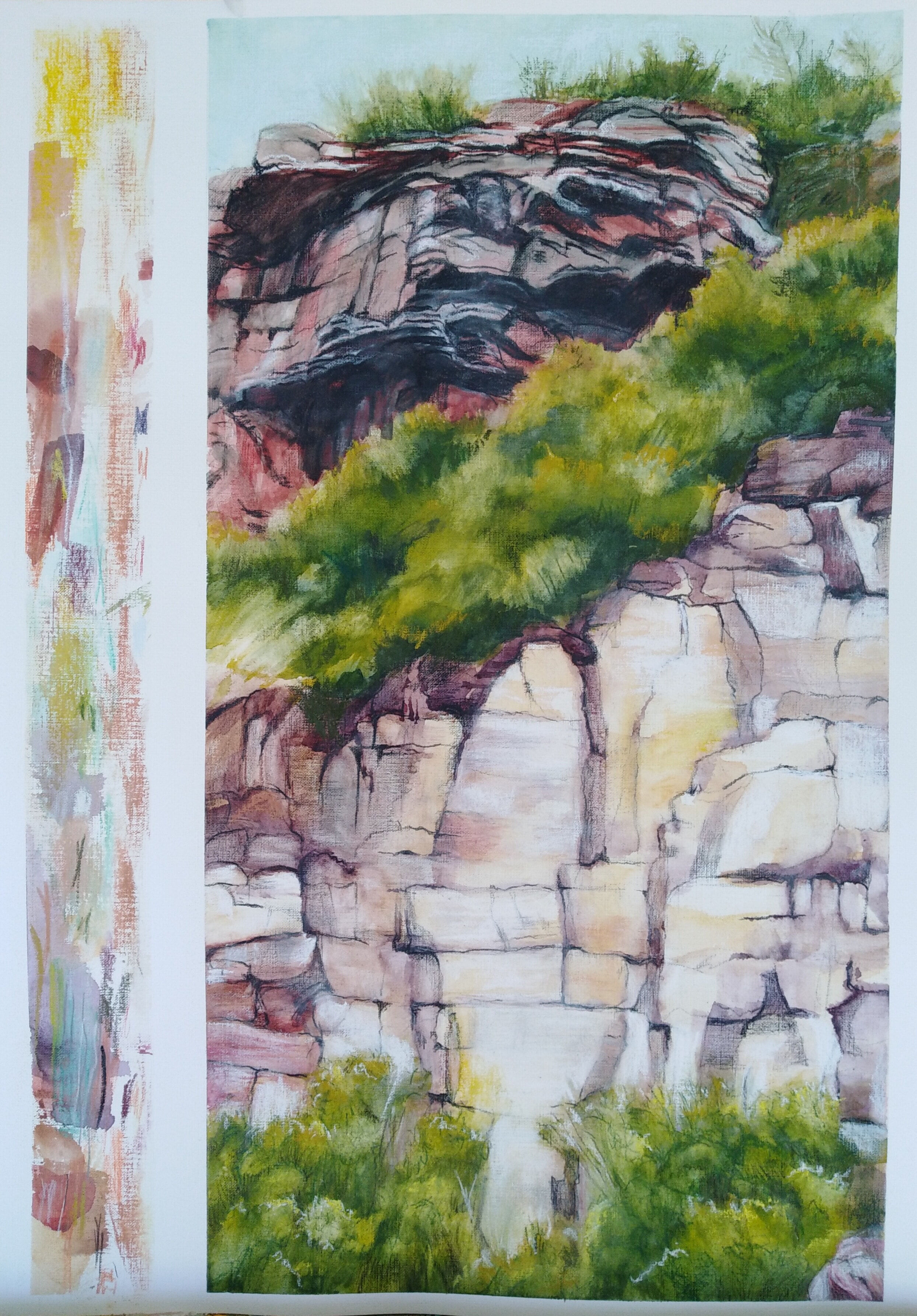Denise M-Grampians walk Mt William  Watercolour, inktense and pastel 38 x 56 cm 