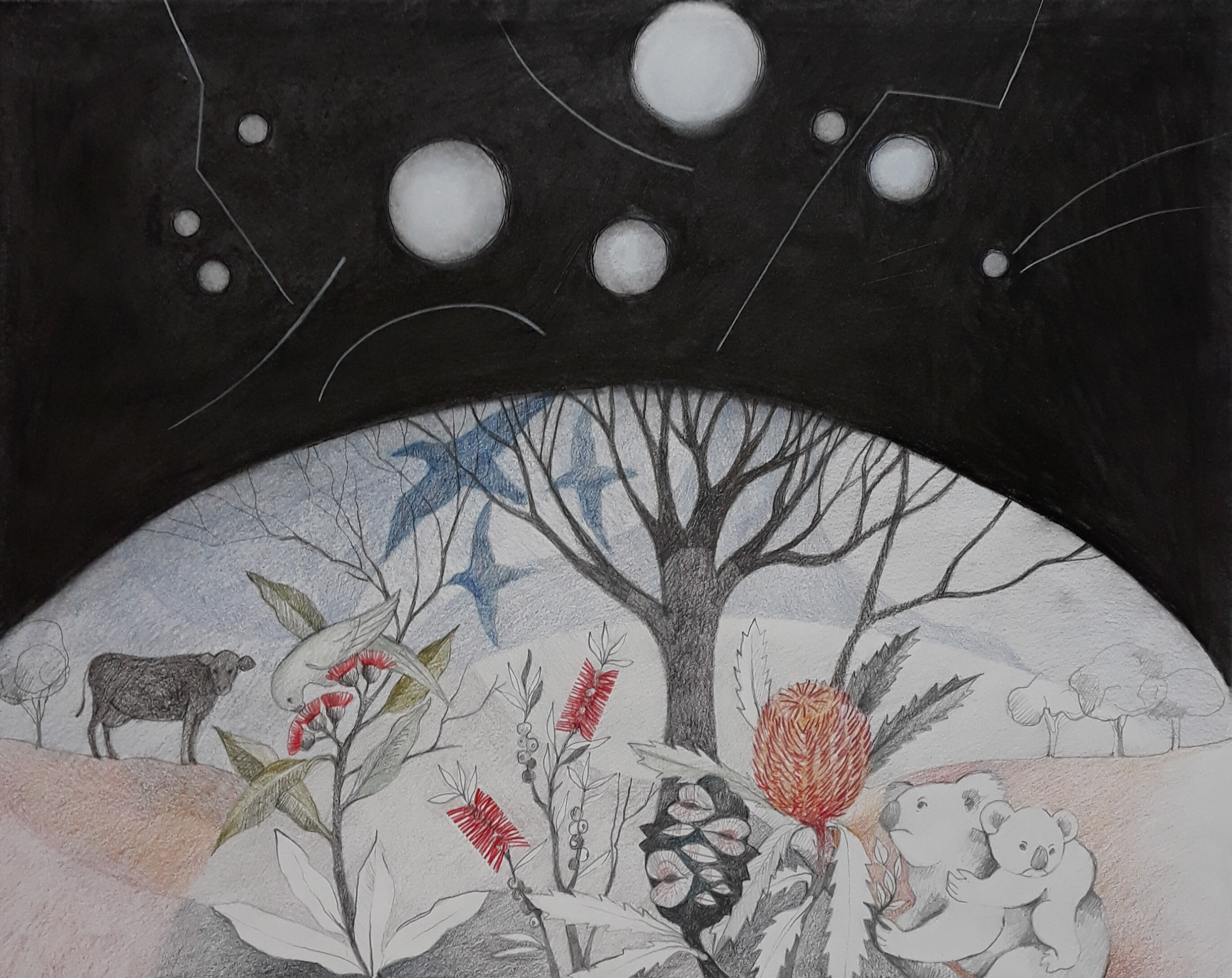 OUR WORLD - OTHER WORLDS - Unframed - Compressed charcoal and pencil - 56 x 45 cms - $400