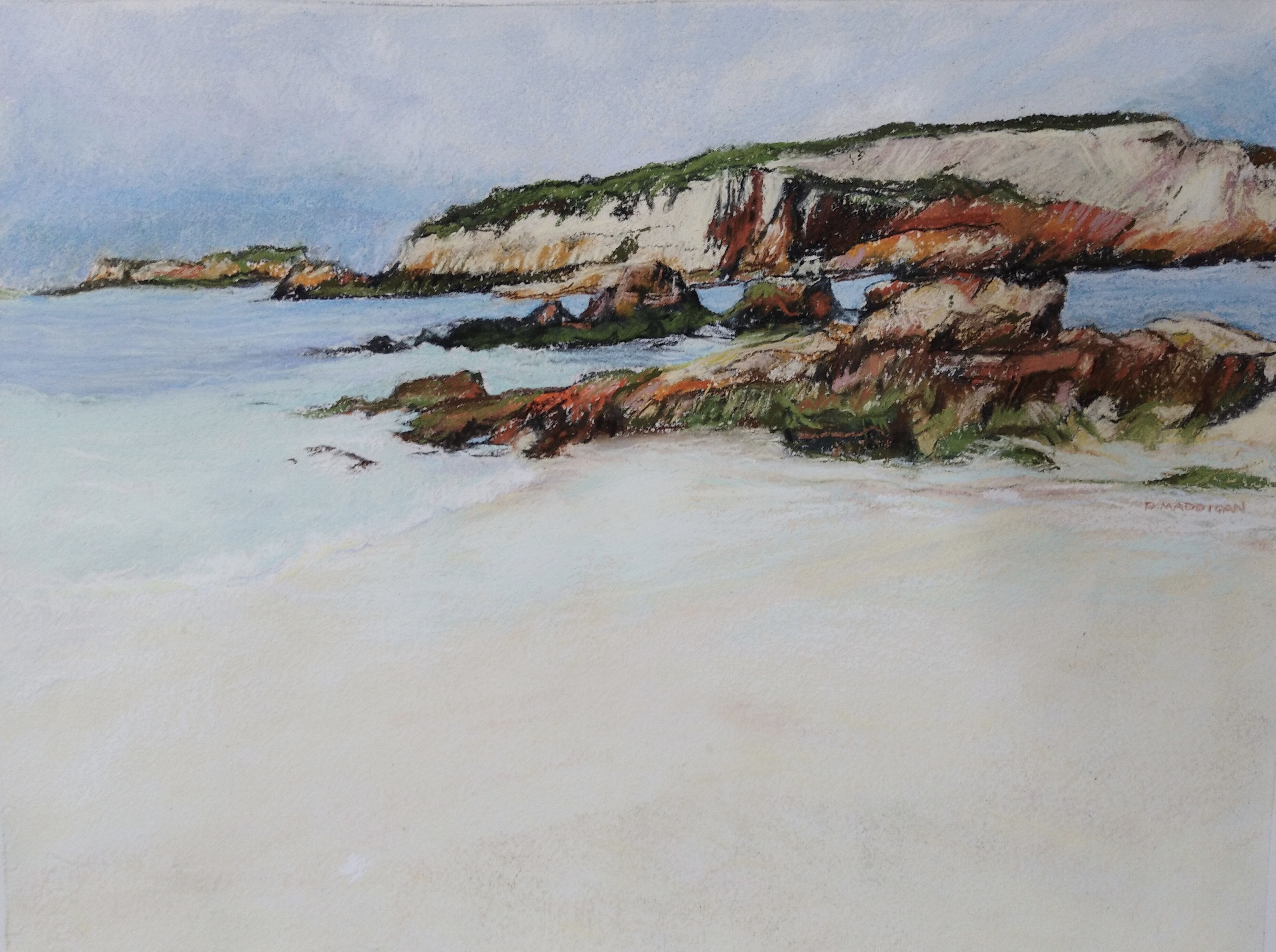 Denise M-Penguin Island, Beachport-Pastel-40 x 31 cm