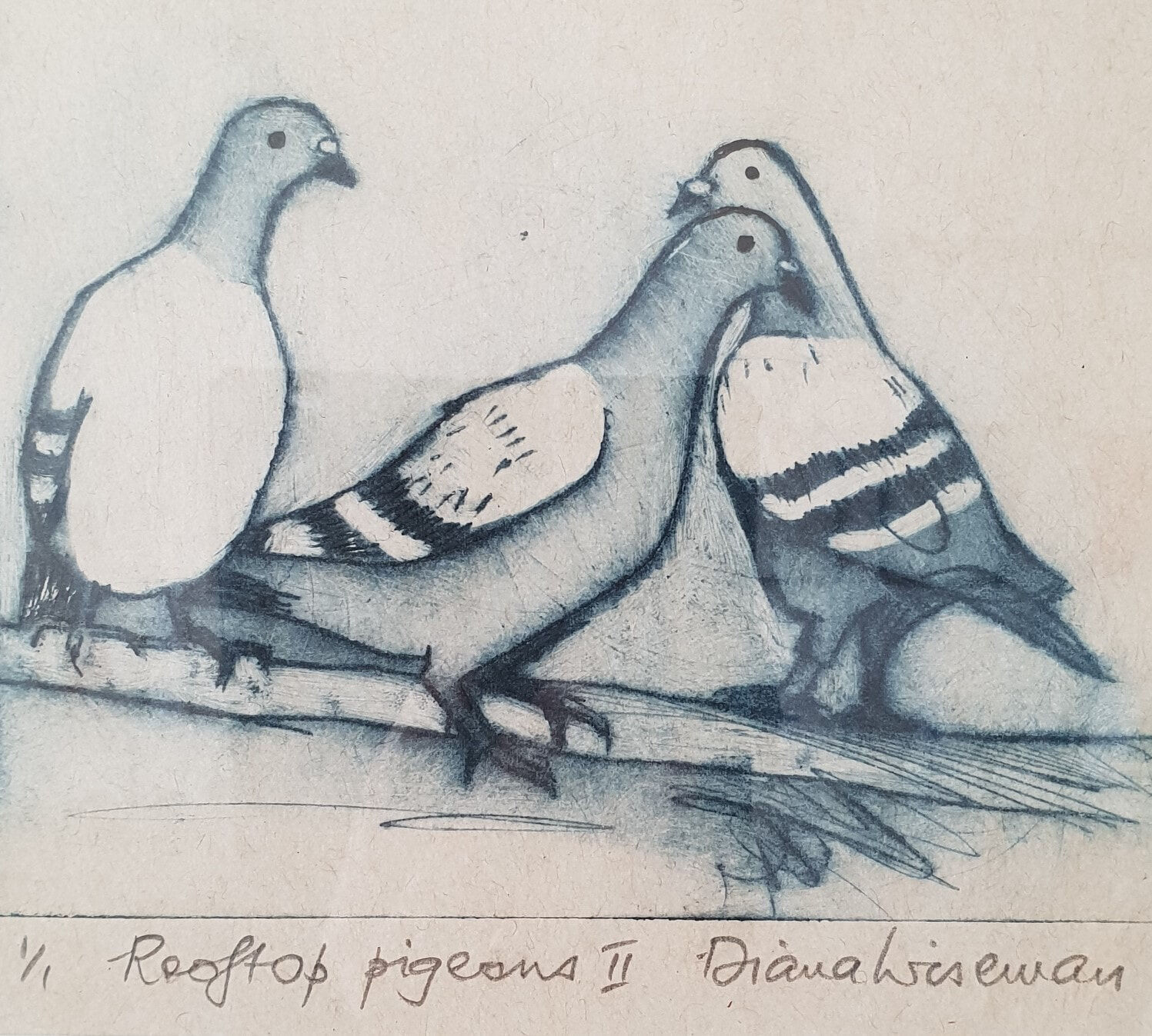 Diana Wiseman-Rooftop Pigeons-dry point with Chine Colle-120x150cm-2021-framed